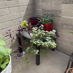 Black Planting Gardening Table