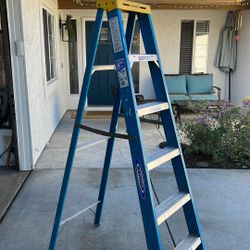 6 Foot Ladder Fiberglass 