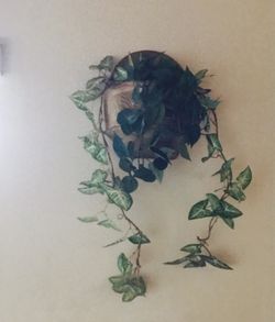 Hanging wall ceramic pots