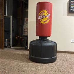 Wave Master Punching Bag