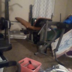 Weight Bench