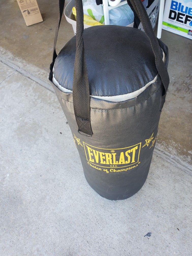 Punching Bag