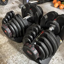 Blowflex Weights 