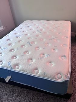 Mattresses and comfy coach barely used (9 months)