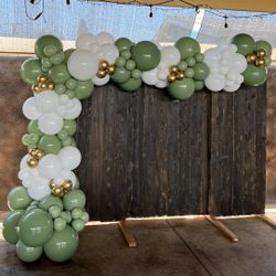 Balloon Backdrop