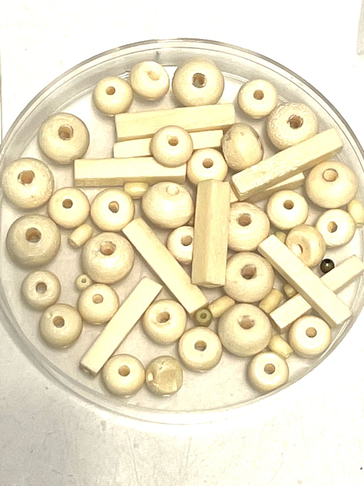Vintage Bone Beads 