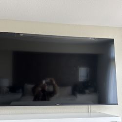 TV  Monitor 