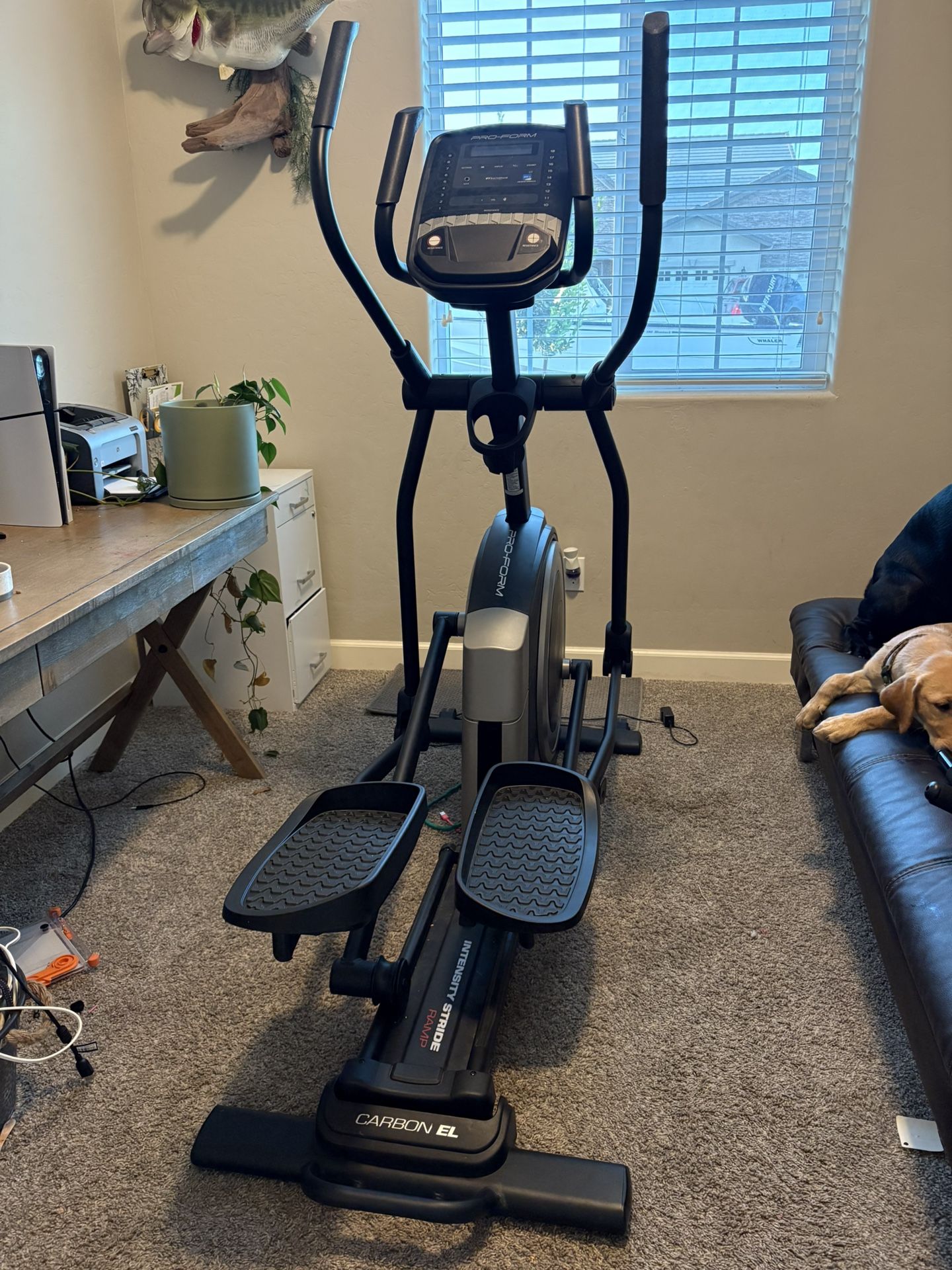 Elliptical 
