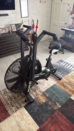 Used Rogue Echo Bike