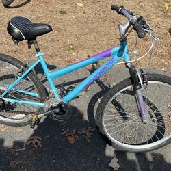Roadmaster Granite Peak Mountain Bike need gone asap