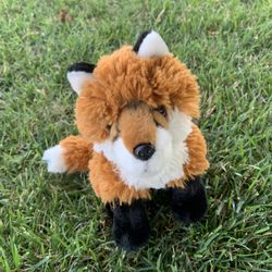Cute Fox