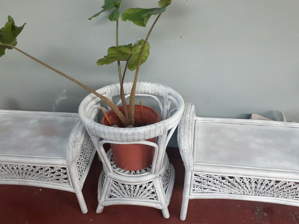Rathan Outdoor/indoor Seats And Plant Stand /Table