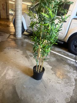 Artificial Bamboo Tree in Black Pot