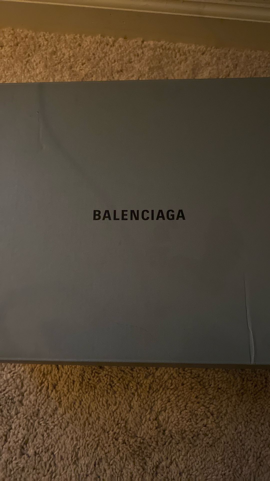 Balenciaga Runners “43”
