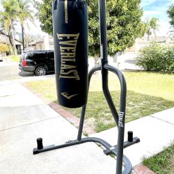 Everlast Punching Bag And Stand