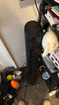 fan