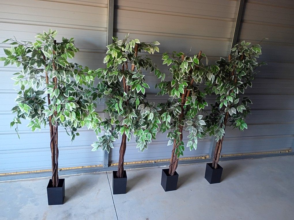 4 Artificial Ficus Tree ( Free Delivery If Needed)