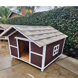Outdoor Animal Homes – Long-Lasting and Cheerful Shelters for Pets nor develop
