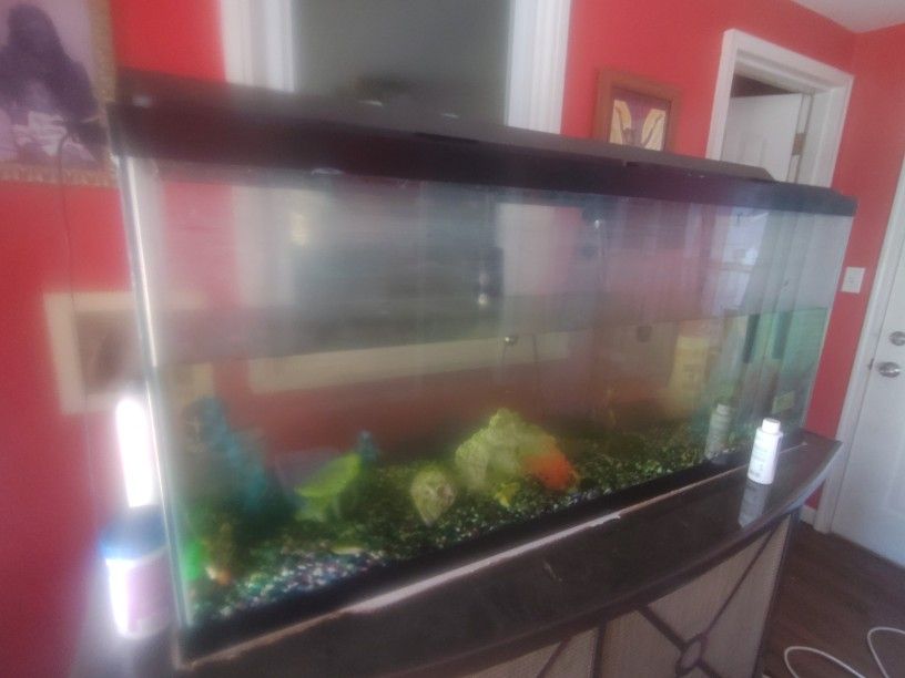 55 Gallon Fish Aquarium