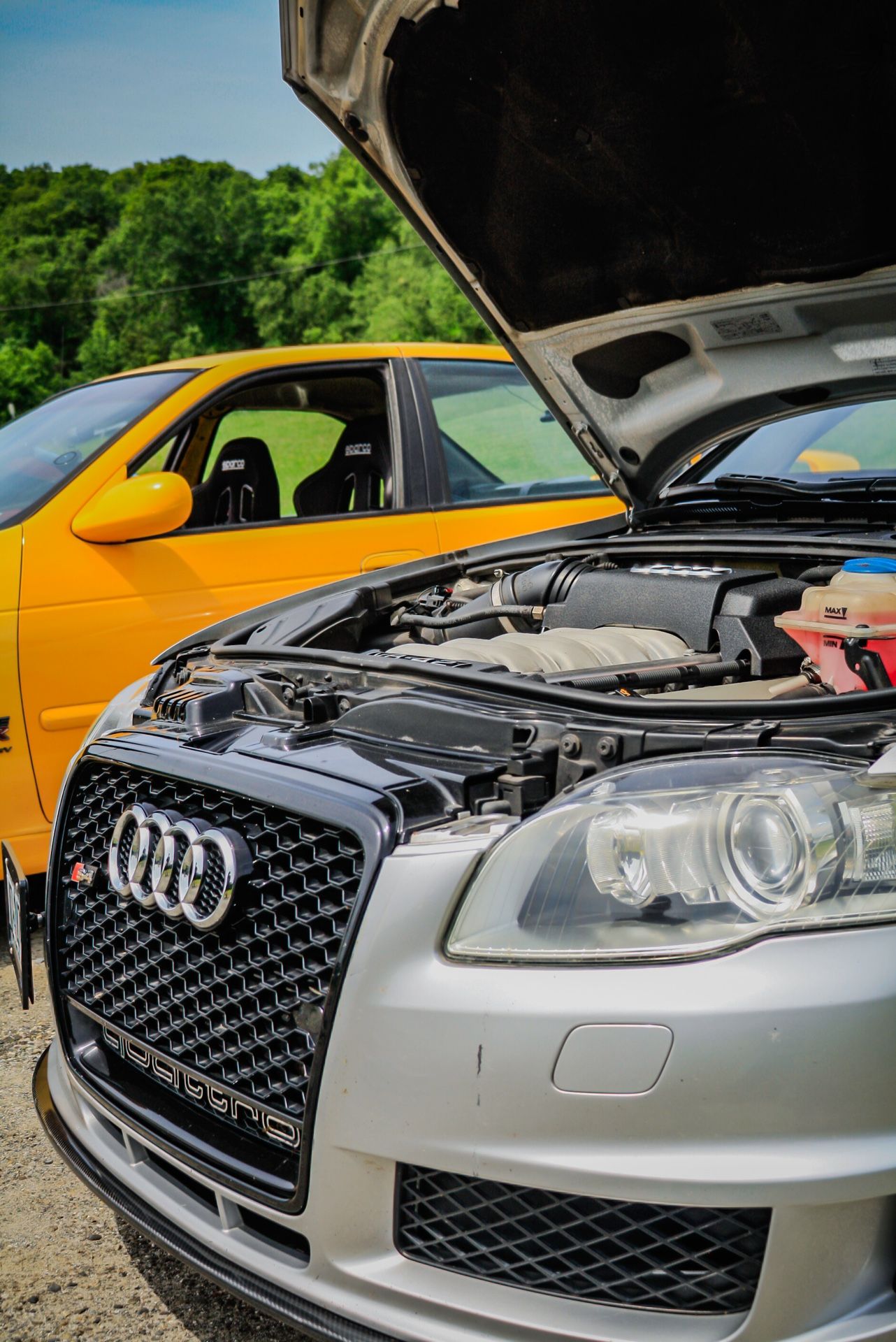 B7 Audi RS4/S4 Grille