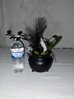 Hyde And Eek Faux Creepy Halloween Decor Plant In Excellent New Condition