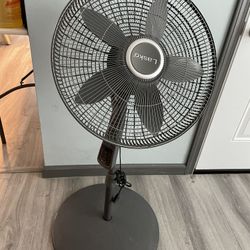 Fan
