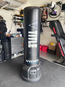 TITLE Hydro Flex punching bag