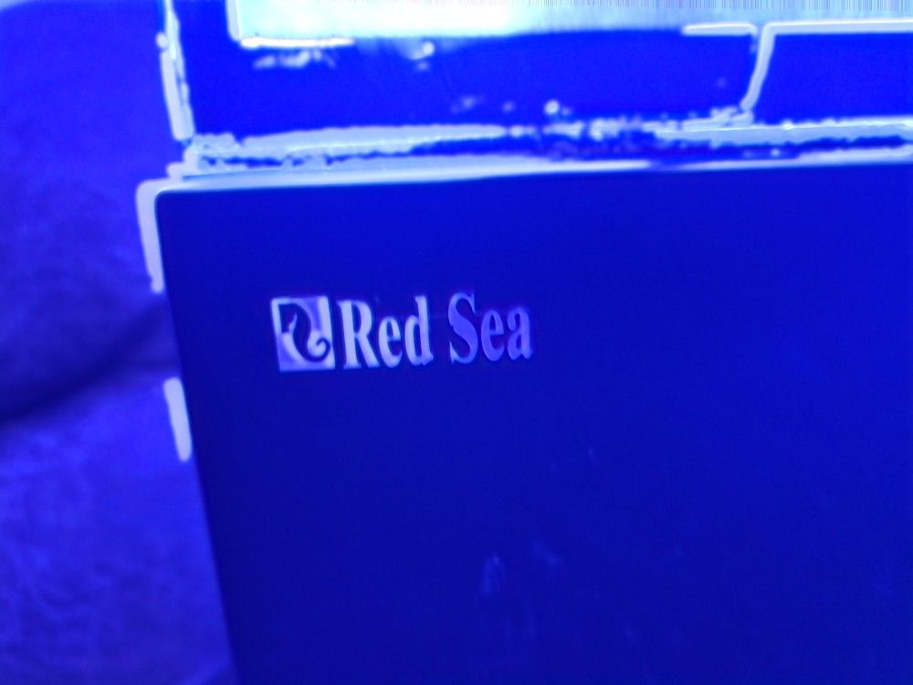 Red Sea Max265