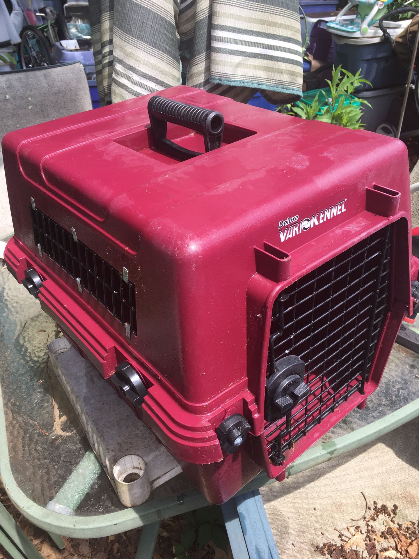 Nice medium size cat and small dog carrier only $30 firm