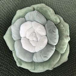 Cozy Succulent Pillow 1-YEAR