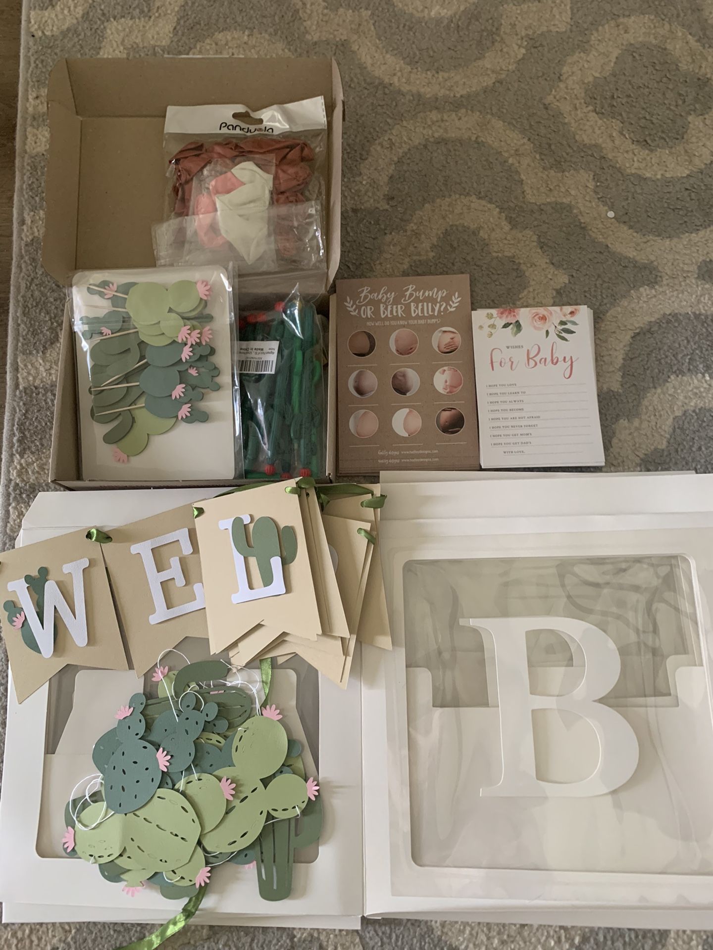 Cactus themed Baby Shower Decorations 