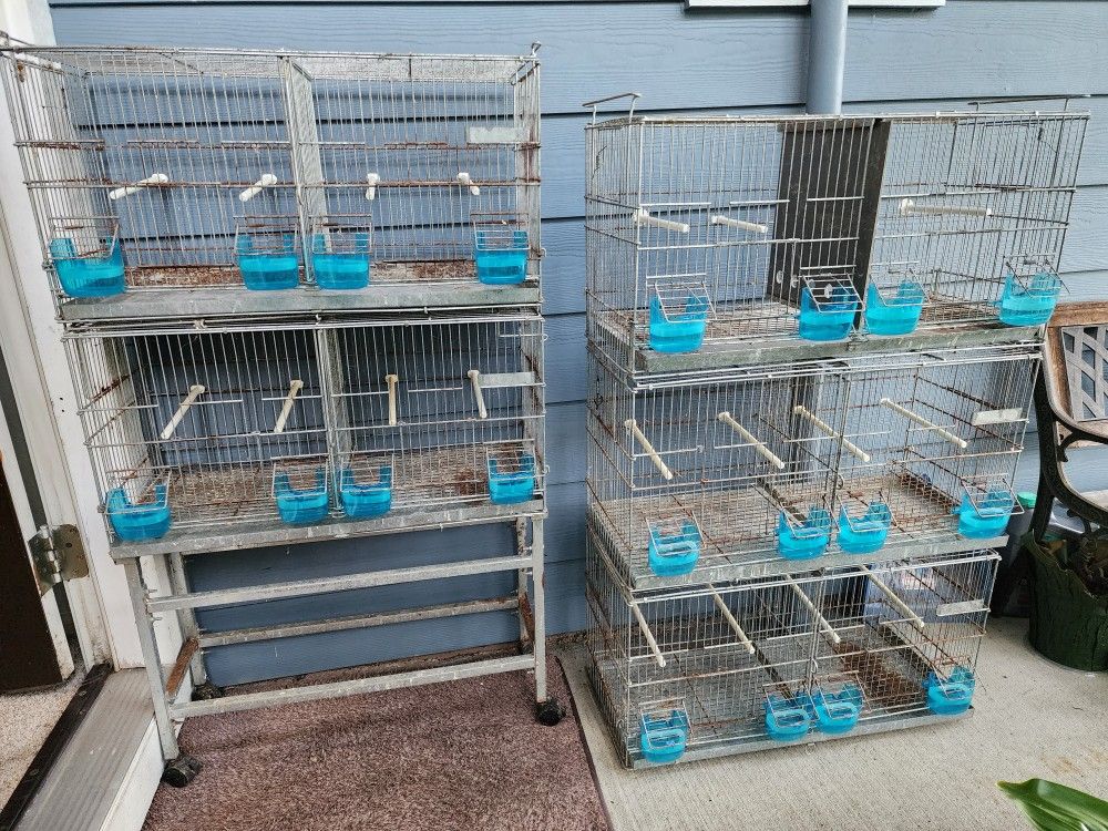 Bird Cages, Breeding Cages