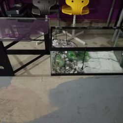 Fishtank With Stand
