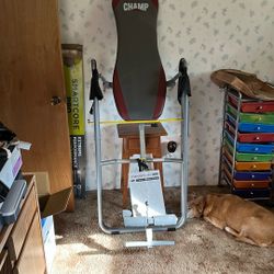 Body champ gravity, inversion system