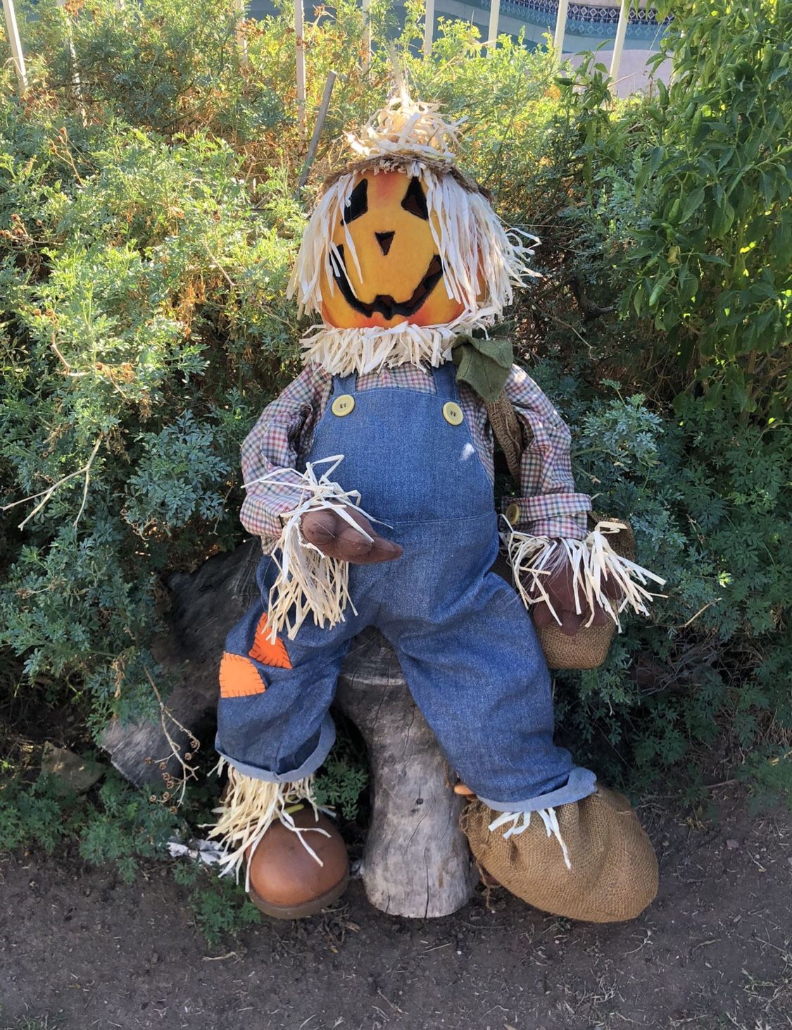 Scarecrow Halloween Decoration