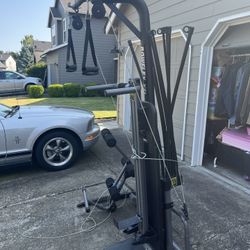 Bow Flex 