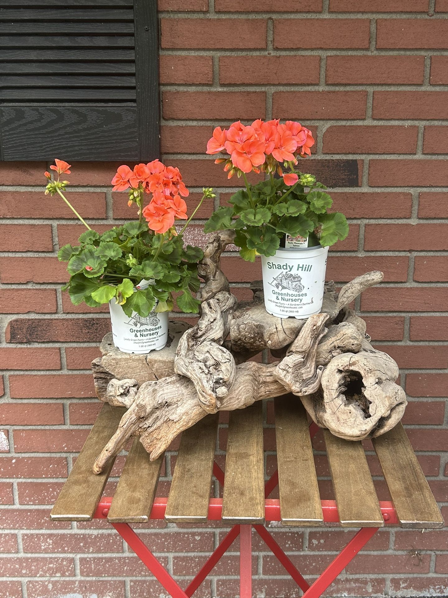 Driftwood plant stand
