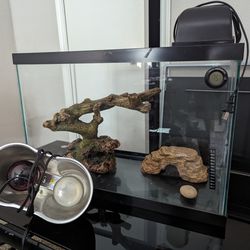 Tank For Reptile And Accessories 