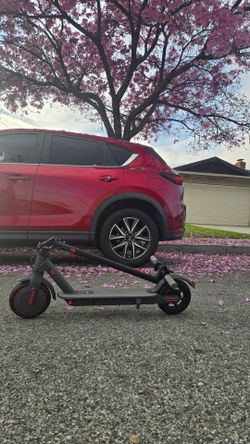 electric scooter