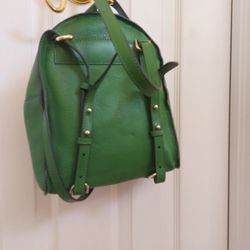 Green Designer BACK Pack