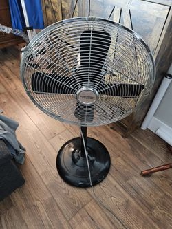 Fan. Standing