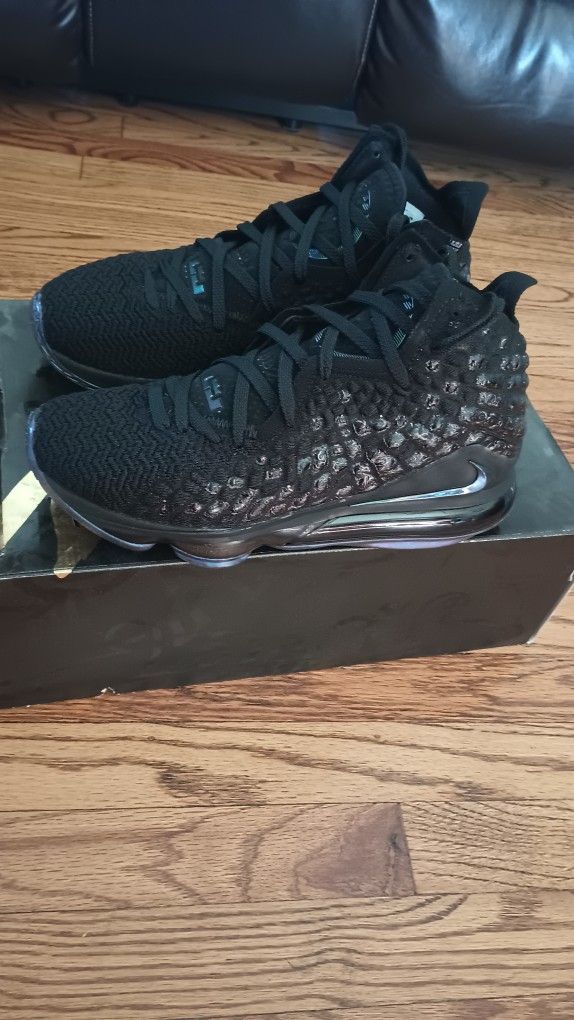 Nike LeBron James Shoes