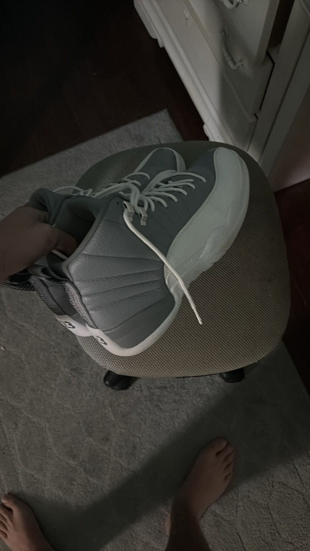 Air Jordan 12 Retro Stealth