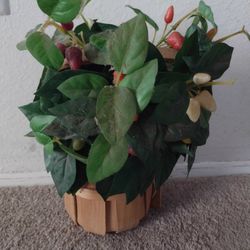 Fake Plant Home Decoration\ Price$25\Speedway n Rosemont area\ PICK up Only