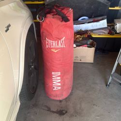 Everlast Punching Bag 