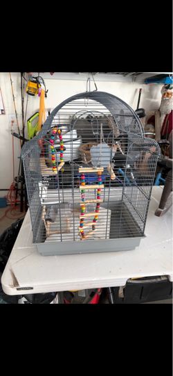Bird Cage