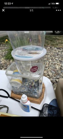 Fish aquarium small