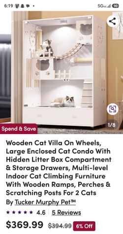Catio
