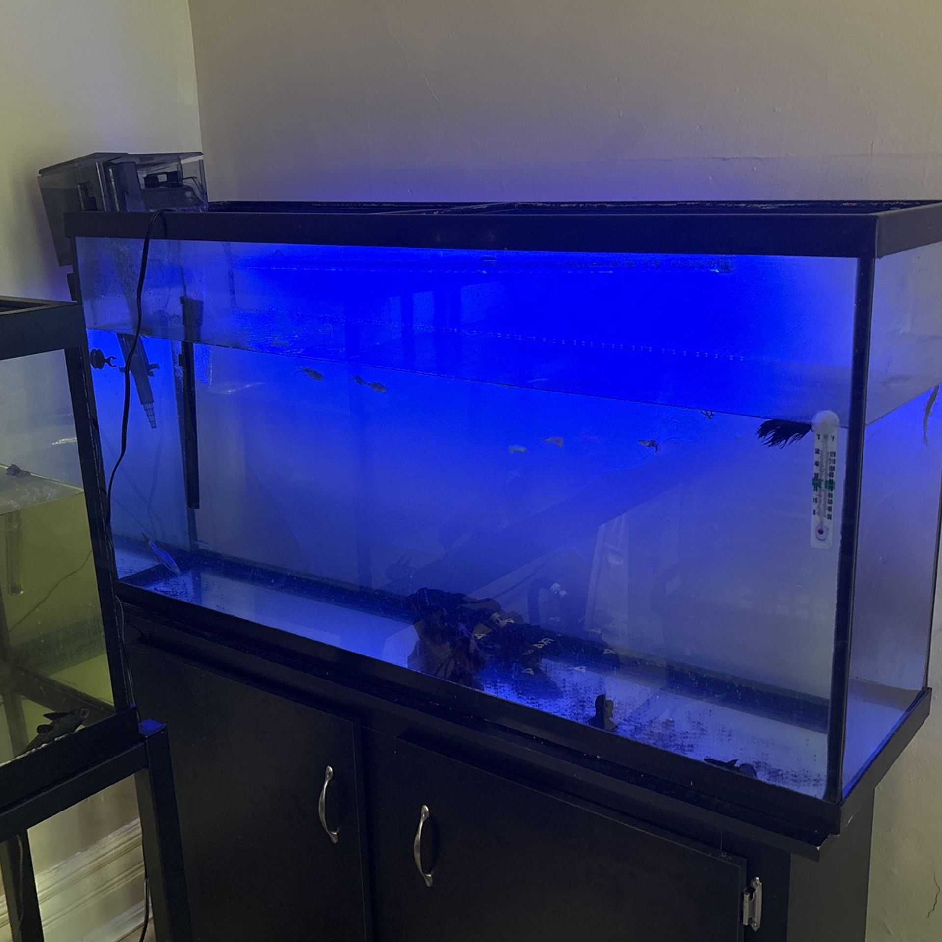 75 Gallon Aquarium And Stand