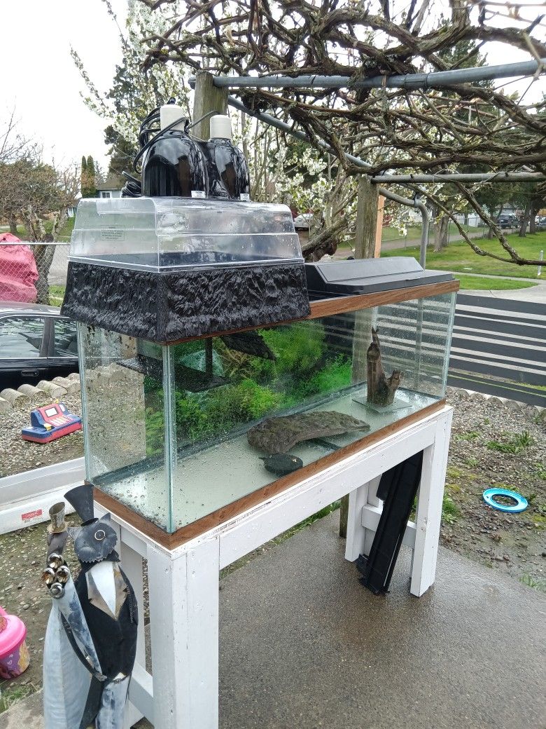 55 Gallon Fish Tank But We Use It For Our Red Slider Turtle.